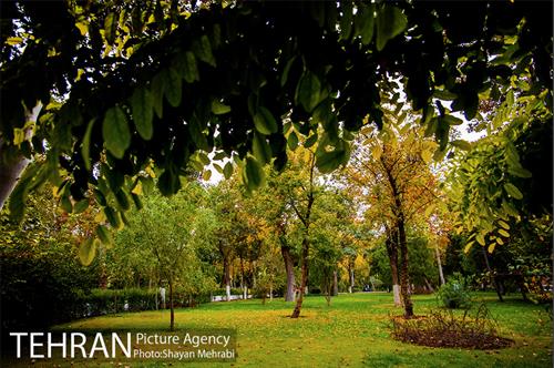 پاییز پارک شهر 20