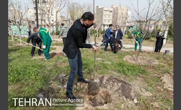 آیین درختکارى خبرنگاران در بوستان زندگى 11