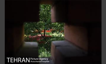 لاله های بهاری بوستان مختاری 30