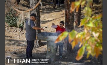 بوستان سرخه حصار 21