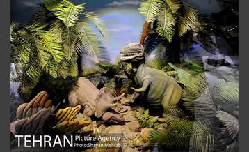 موزه طبیعت و حیات وحش دارآباد تهران 36