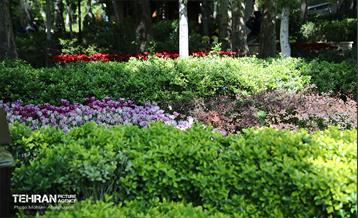 بازدید اصحاب رسانه از باغ ایرانی 23