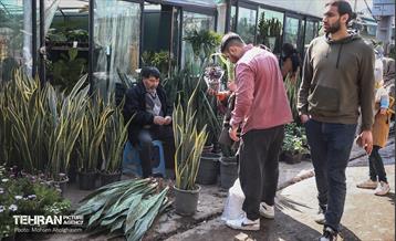 بازار گل شهید محلاتی در آخرین روزهاى سال 37