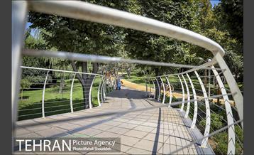 تنفس طبیعت زیبای منطقه ۷ در روزهای حضور کمرنگ شهروندان 12