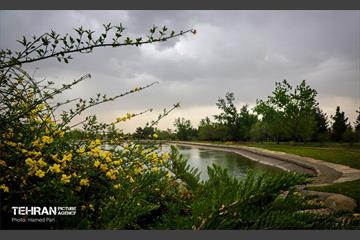باغ گیاه‌شناسی 34