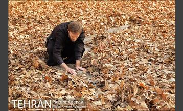 سومین رویداد هنری "پاییز برگ" در میدان مشق 21