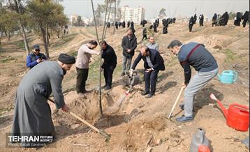 غرس ۲۷۸۲ نهال در سرخه‌حصار به یاد درگذشتگان جامعه پزشکی 12