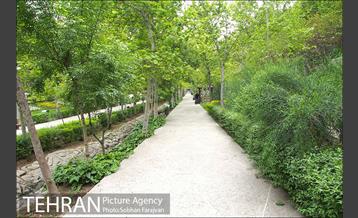 بوستان ساعی 2