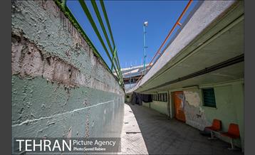 غوغای سکوت در آزادی 15