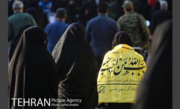 پیاده روی جامندگان اربعین حسینی (ع) در تهران 5