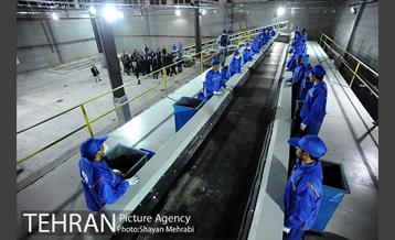 شبگردی اصحاب رسانه به میزبانی منطقه 6 5