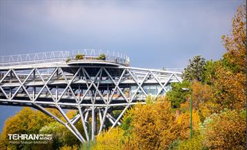 سمفونی رنگ های پاییزی / شایان محرابی