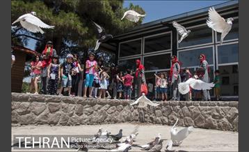 باغ پرندگان تهران 30