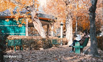 گذرگاه های پاییزی پایتخت - منطقه 9