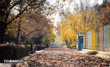 گذرگاه های پاییزی پایتخت - منطقه 14