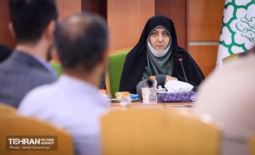 بازدید نرگس معدنی پور از منطقه 17