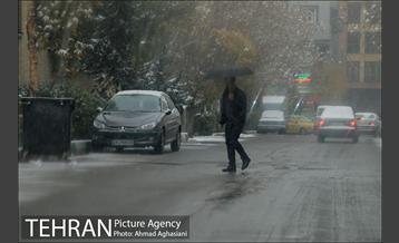 بارش نخستین برف پاییزی تهران 44