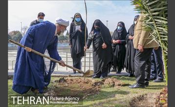 جشن نهال هاى کوچک شهر و تخم مرغ هاى رنگى در منطقه ٩