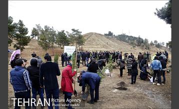 آغاز عملیات اجرایی نهضت درختکاری پردیس گردشگری 23