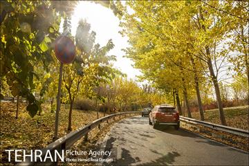 پاییز زیبای پایتخت- 2 12