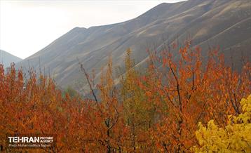 یک روز پاییزی در منطقه 22 2