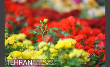 نمایشگاه بین المللی گل و گیاه 34