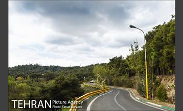 بوستان جنگلی لویزان 2