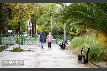 یک روز پاییزی در منطقه ۱۴