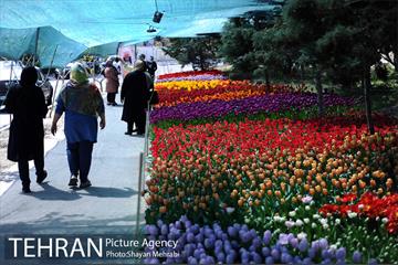 پیاده راه لاله مادران 7