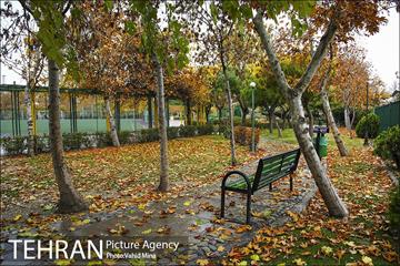 پاییز در بوستان رازی 8
