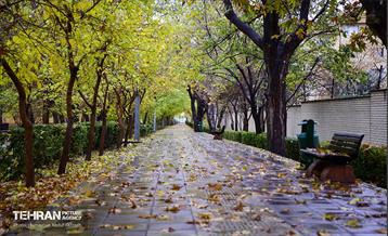 یک روز پاییزی در منطقه ۱۴