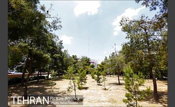 بوستان میعاد 10