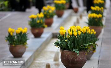 تور عکاسی از باغ ایرانی 12