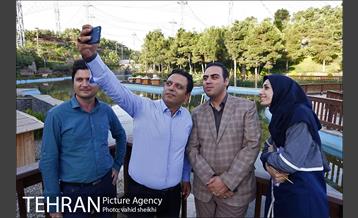 شبگردی اصحاب رسانه در منطقه چهار شهرداری تهران  4