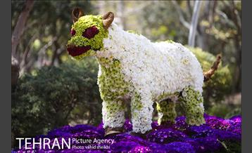 کاروان گل«استقبال از نوروز» در تهران 21