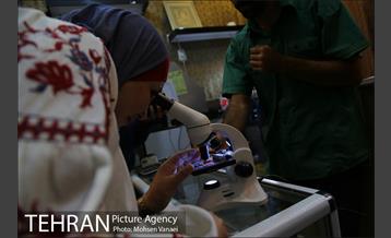 تهرانگردی شهردار بغداد 45