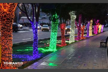 استقبال از بهار - 5 16