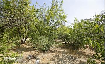 بازدید اعضای شورای اسلامی شهر از منطقه ۵ 5