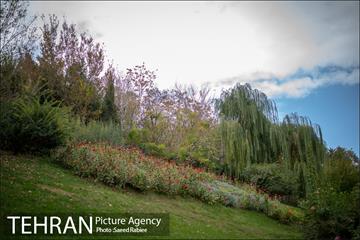 پاییز زیبای پایتخت- 3