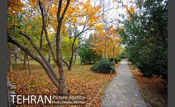 باغ گیاه‌شناسی ملی ایران 47