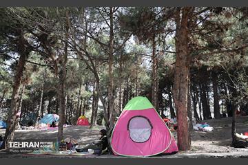 روز طبیعت در پارک جنگلی لویزان 33