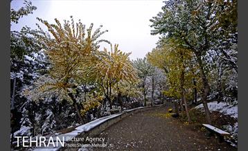 بارش برف پاییزی در بوستان طالقانی 14