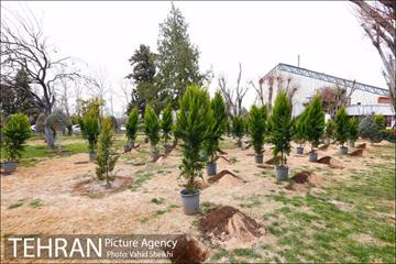مراسم کاشت نهال در هفته منابع طبیعی (درخت فرهنگ و هنر) 14