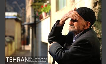 نخستین جشنواره خرمالو در روستای کشار سفلی 34