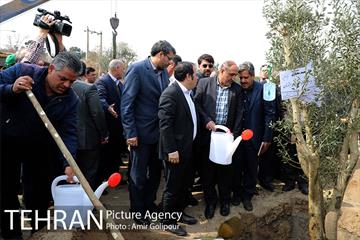 آیین کاشت درخت دانش در بوستان جنگلی چیتگر 40
