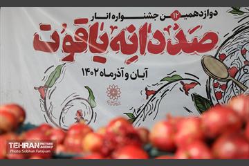دوازدهمین جشنواره انار  7