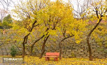 هوای پاییزی پایتخت 3