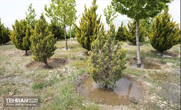 بازدید اصحاب رسانه از کمربند سبز 15