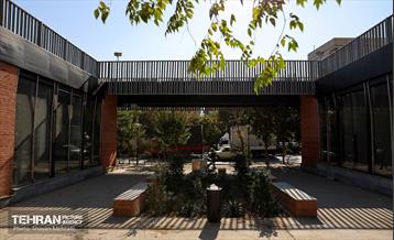 به وقت خدمت؛ باغ‌راه حضرت زهرا(س) محدوده آیت الله سعیدی 33