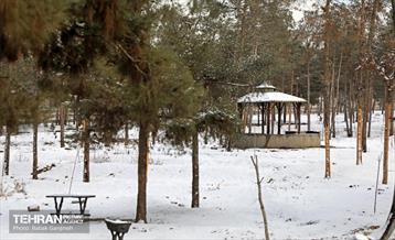 روز برفی در منطقه 13 10